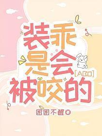 装乖 TXT