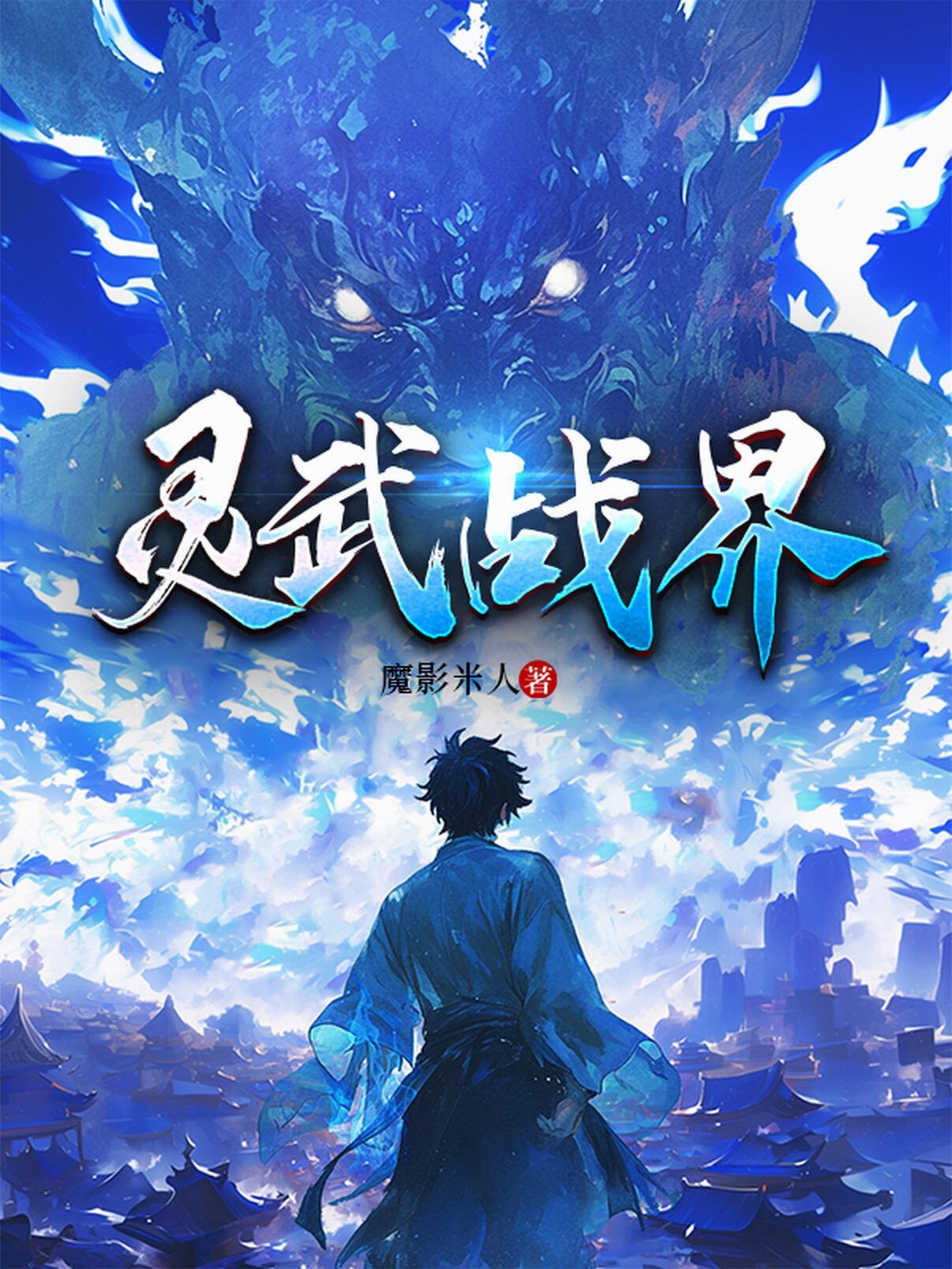 灵武简介