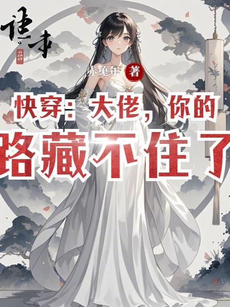 大佬的快穿旅途