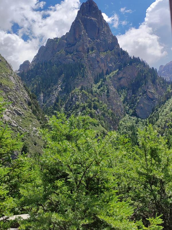 凡火的侍奉证道