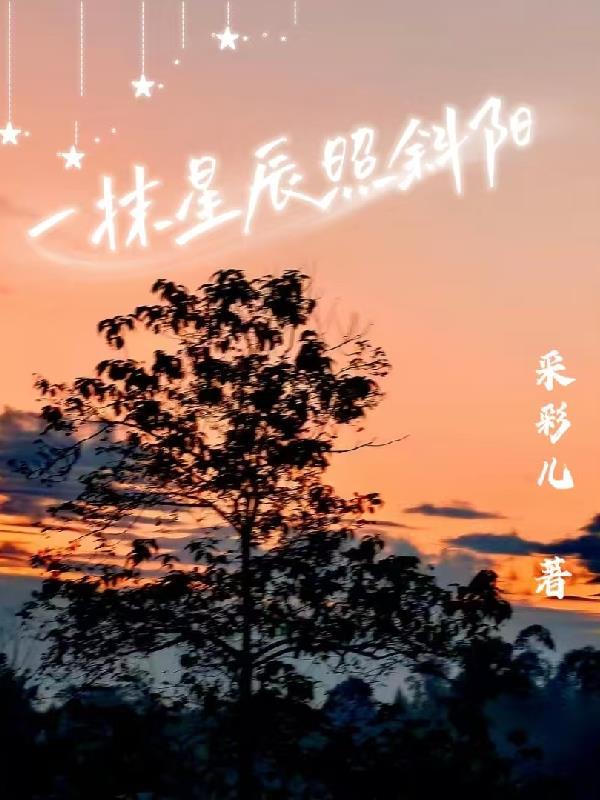 一抹星光如暖阳在线阅读