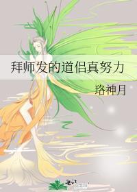 拜师发的道侣真努力作者珞神月