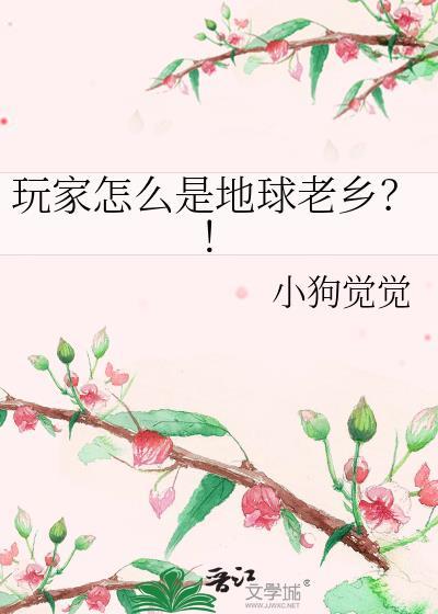 地球游戏玩家