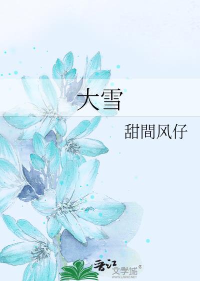 大雪无痕电视剧全集在线观看