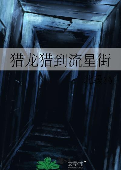 猎龙猎到流星街TXT百度
