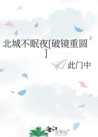 北城不眠夜txt盘