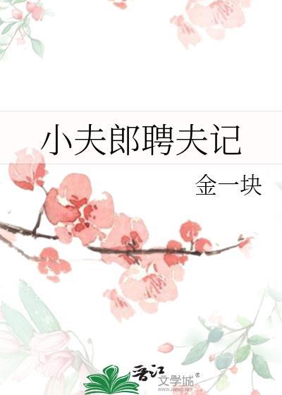 小夫郎是什么