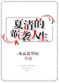 免费夏清