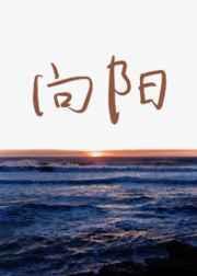 向阳而生图片