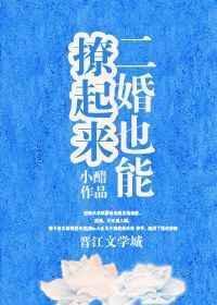 二婚也能撩起来/小阳春
