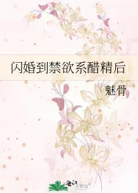 闪婚以后
