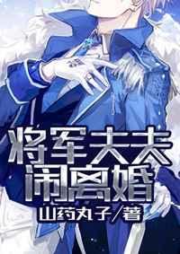 将军夫夫闹离婚全文