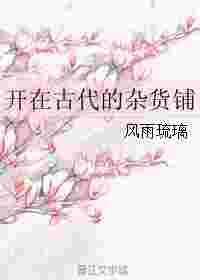 开在古代的杂货铺 风雨琉璃