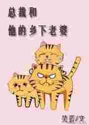 总裁和他的乡下老婆结局