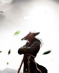 [红楼]迎春送子