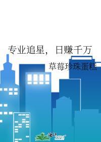 专业追星,日赚千万